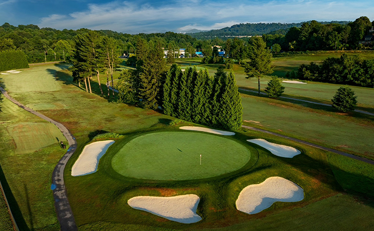 Aerial View of golf course green with trees